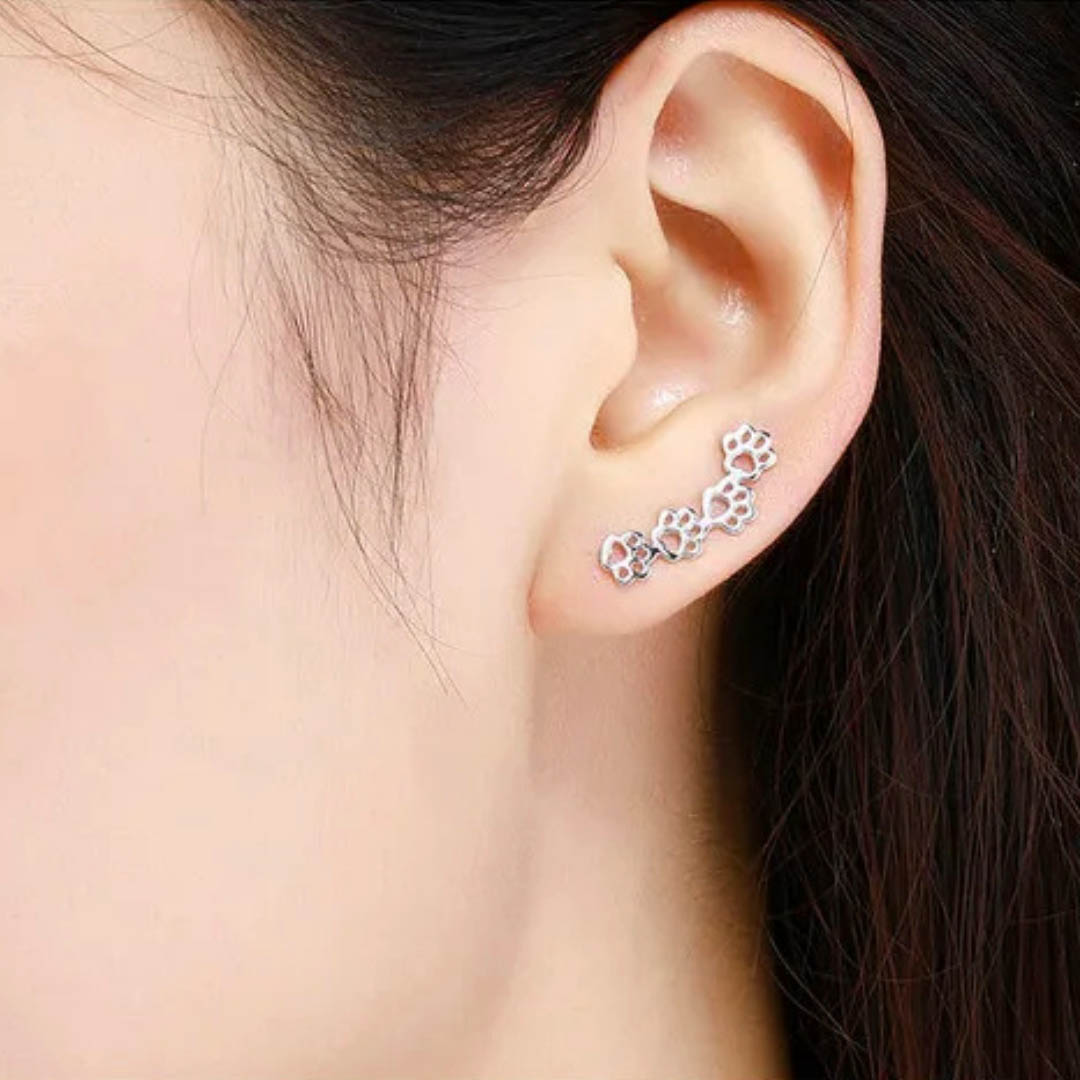 Aros Trepadores Huelittas - Plata 925