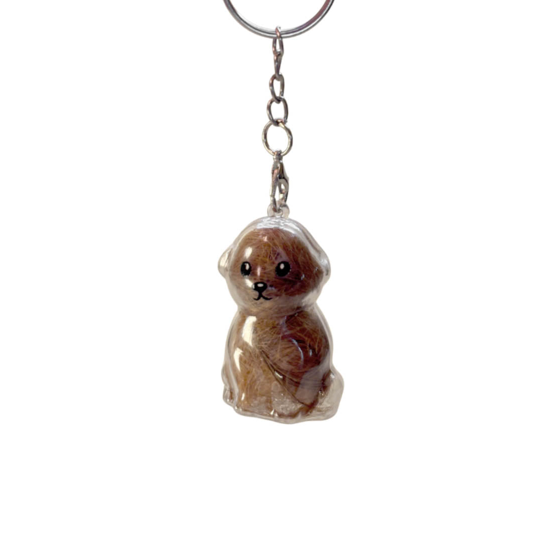 Llavero Guardapelo de Mascota - Perro Crespito