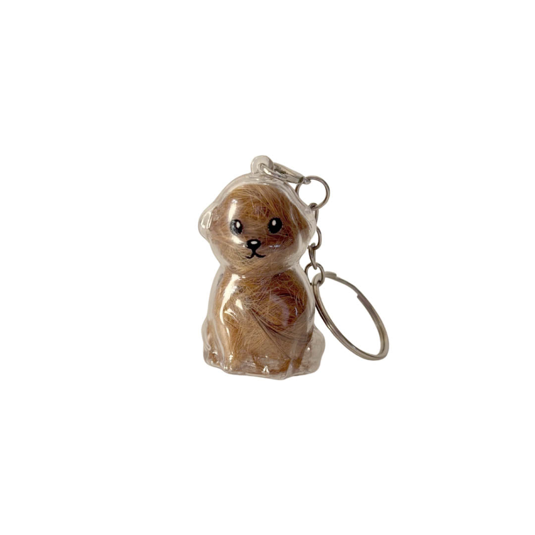 Llavero Guardapelo de Mascota - Perro Crespito